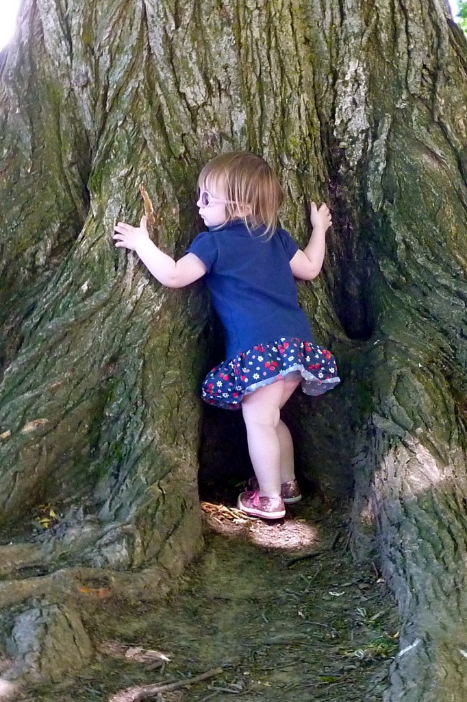 Tree hugger