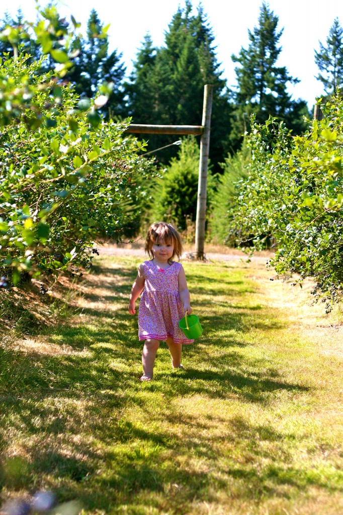 girl blueberry picking