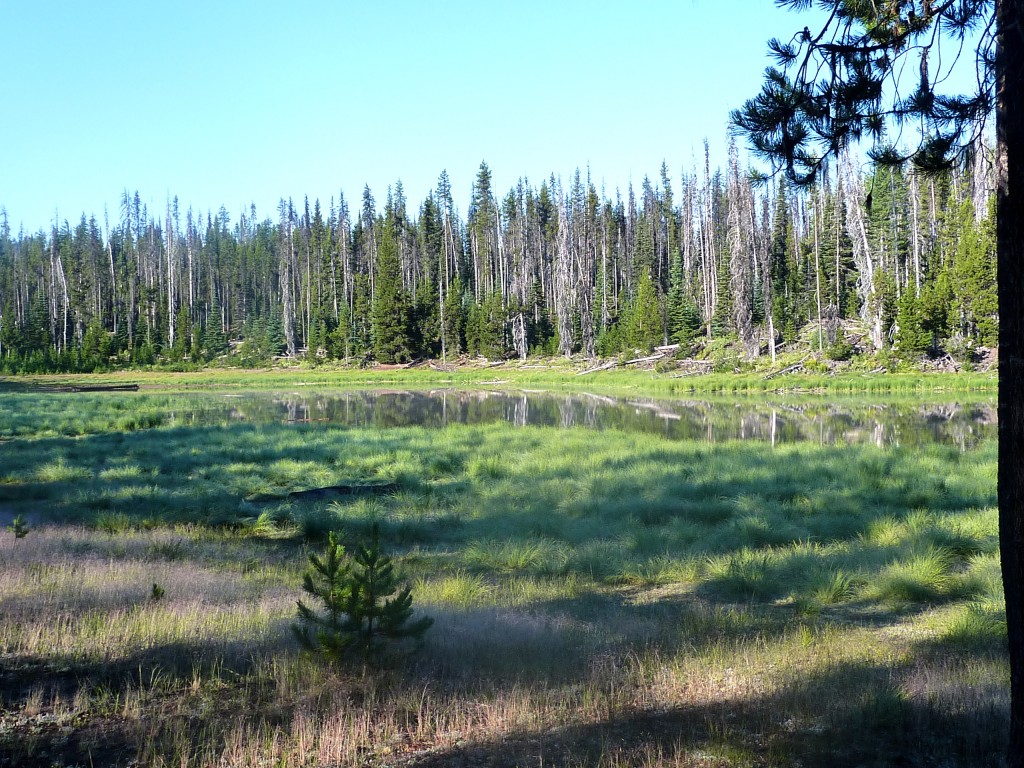 View from campground