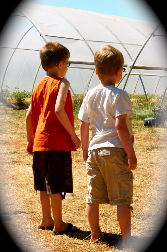 boys looking on at the greenhouse