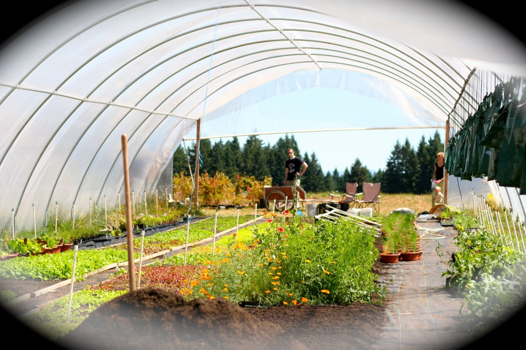 one greenhouse