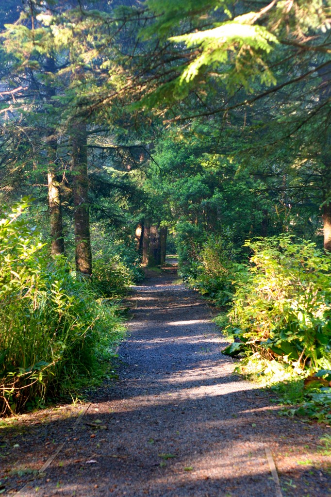 walking paths abound